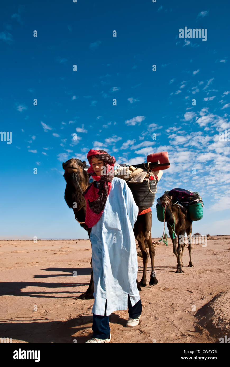 Trekking de chameau à travers le désert du Sahara Banque D'Images