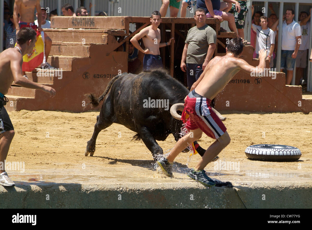 Les toreros Bous a la mar sauter dans l'eau, Dénia, Alicante, Espagne, Europe Banque D'Images