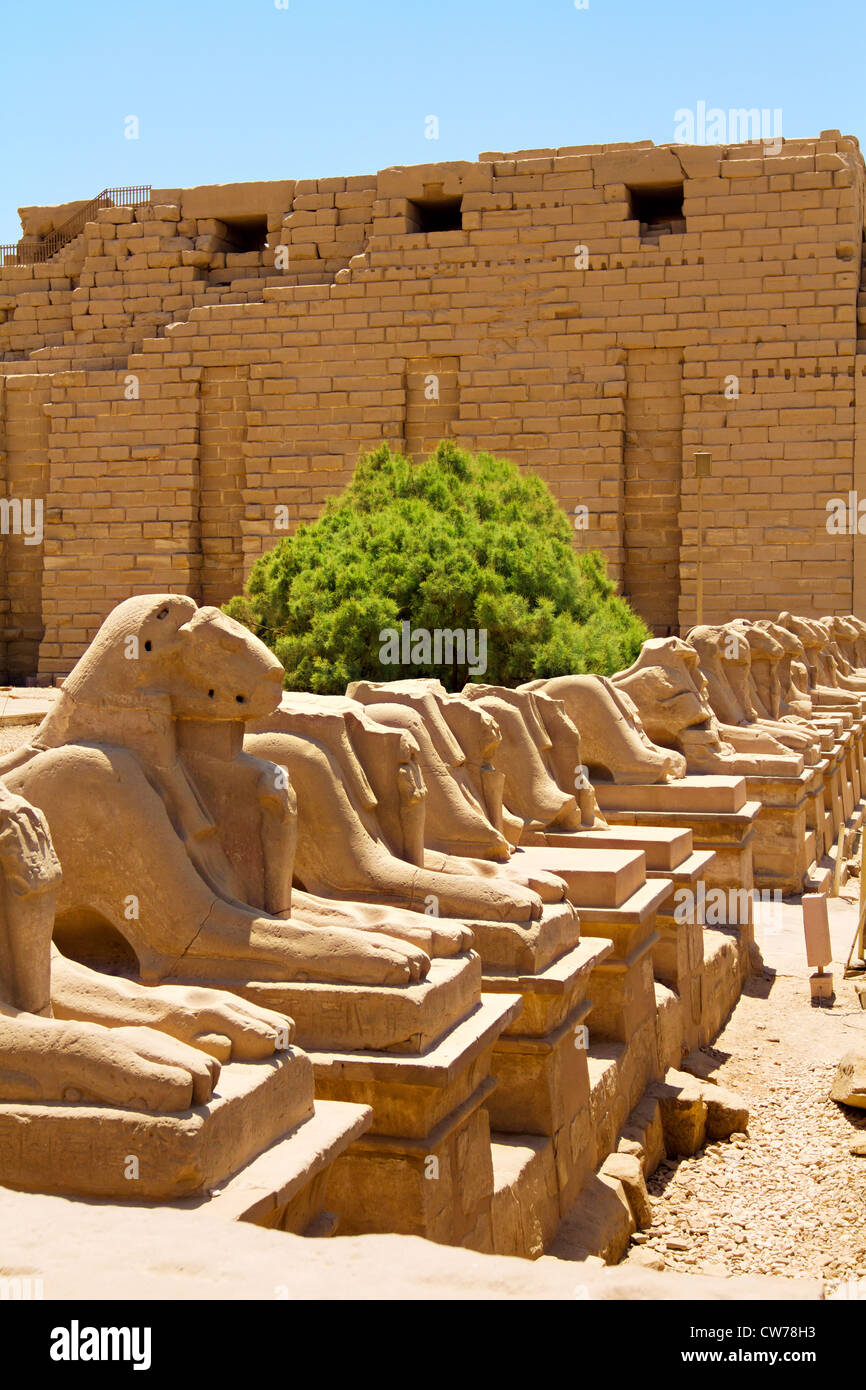 Temple de Karnak avec hiéroglyphes de l'Égypte ancienne Banque D'Images