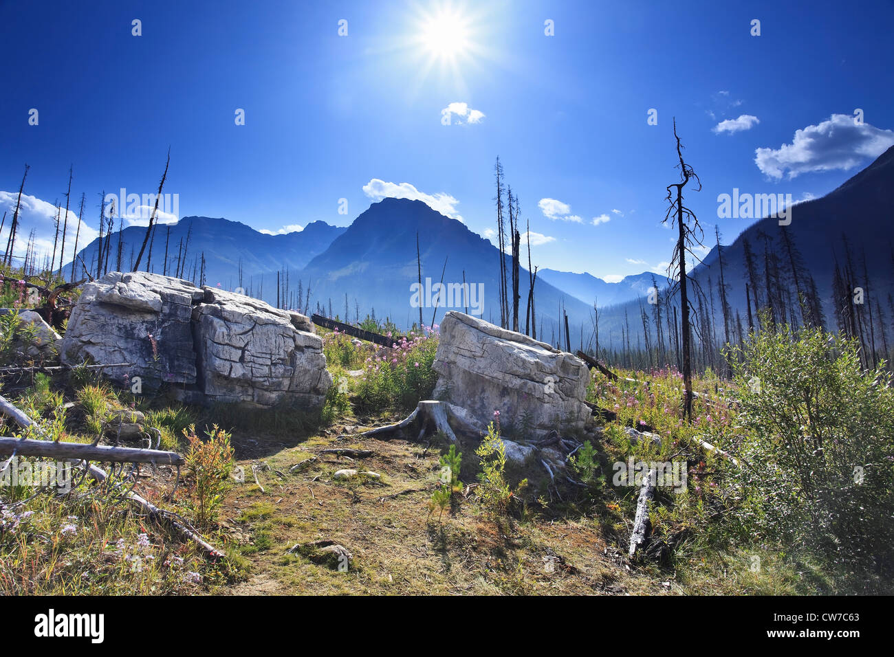 Le Parc National de Kootenay, Colombie-Britannique, Canada Banque D'Images