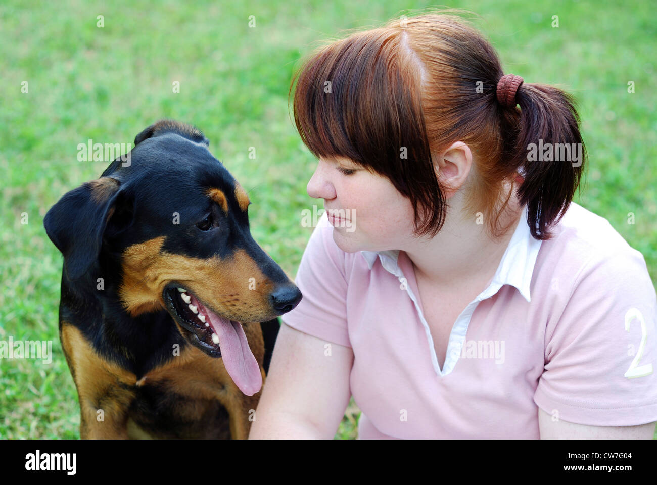 Le chien et son propriétaire, assis sur la pelouse Banque D'Images