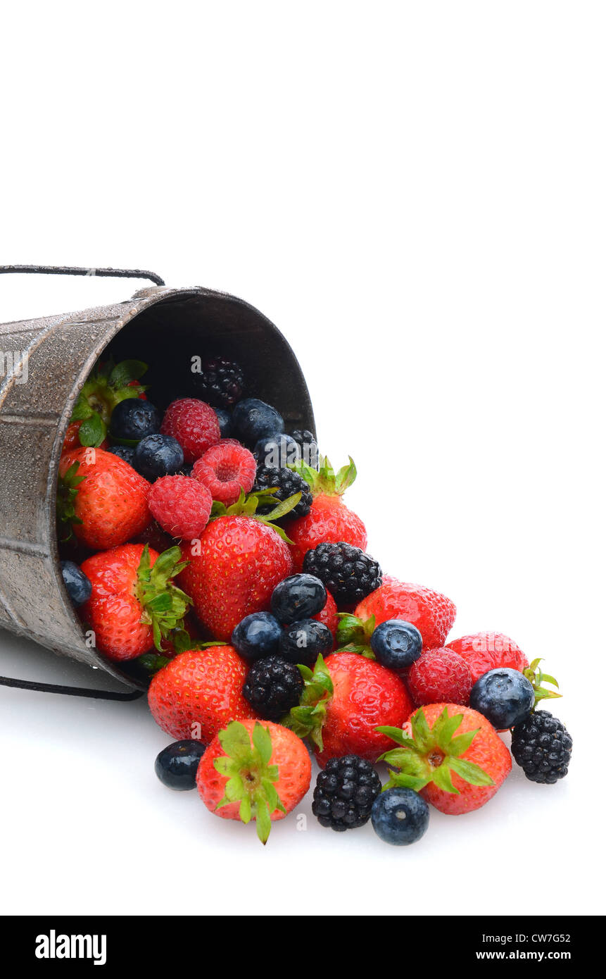 Un seau portant sur le côté avec un assortiment de fruits rouges. Format vertical avec copie espace. Banque D'Images
