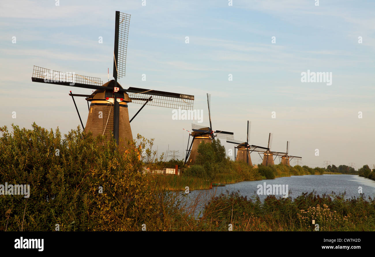 Moulins à vent de Kinderdijk, Pays-Bas Banque D'Images