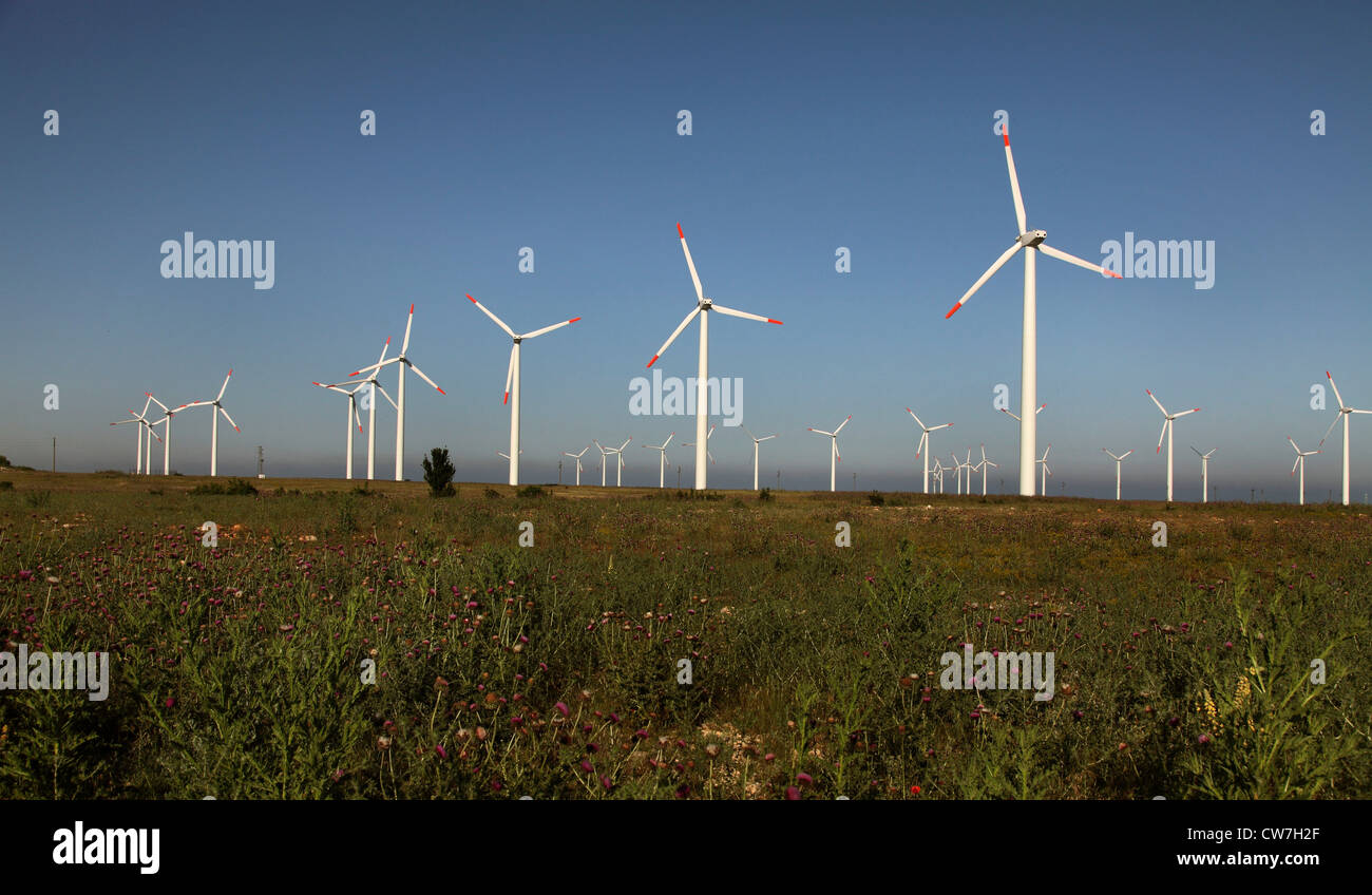 Ferme éolienne à Kap Kaliakra, Bulgarie Banque D'Images