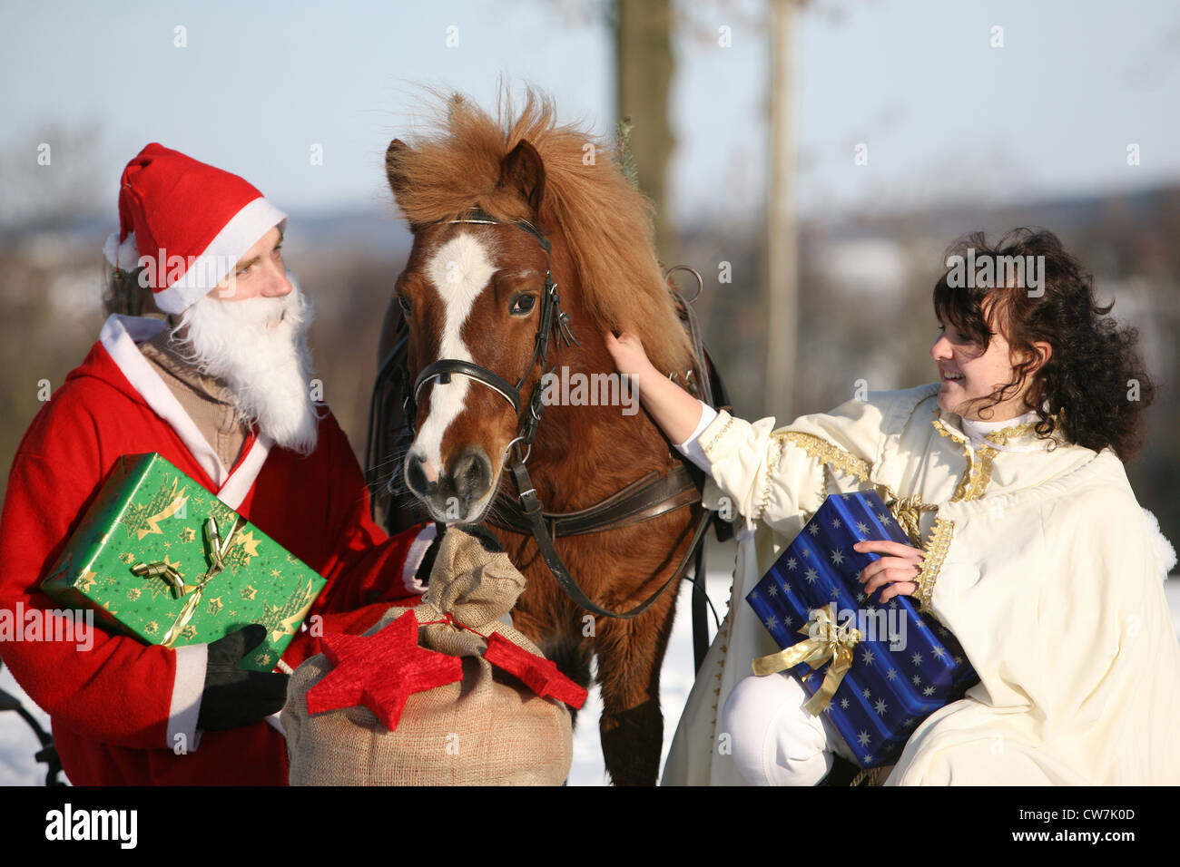 Poney de Noël Banque D'Images