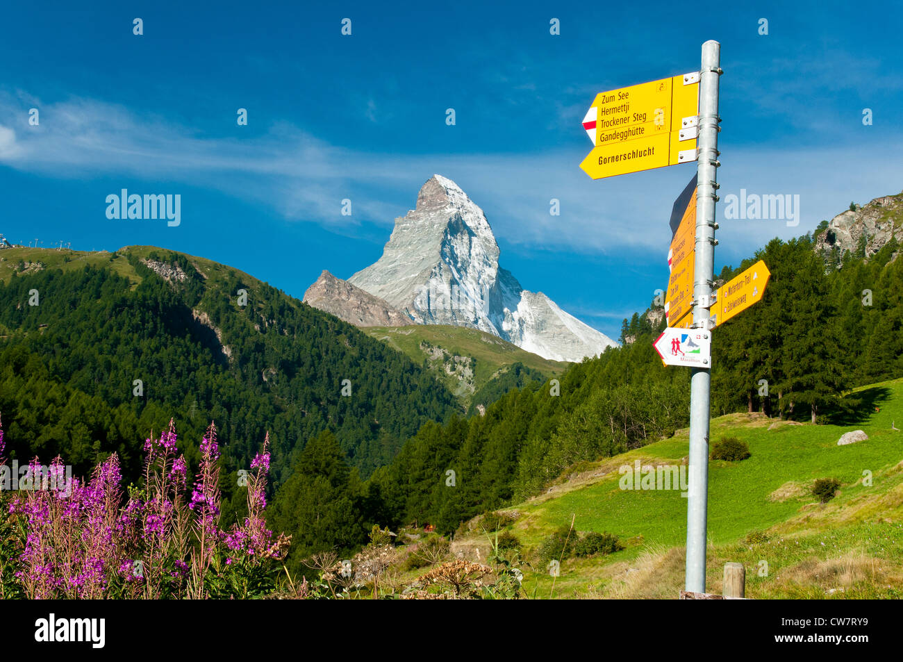 Sentier de randonnée pédestre avec panneau derrière le Cervin, Zermatt, Valais, Suisse Banque D'Images