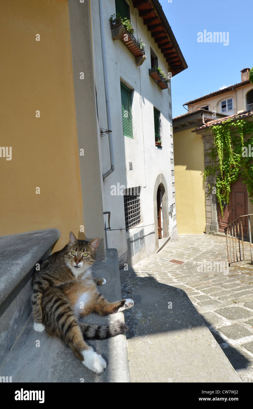 Barga, Lucca, Italie Banque D'Images