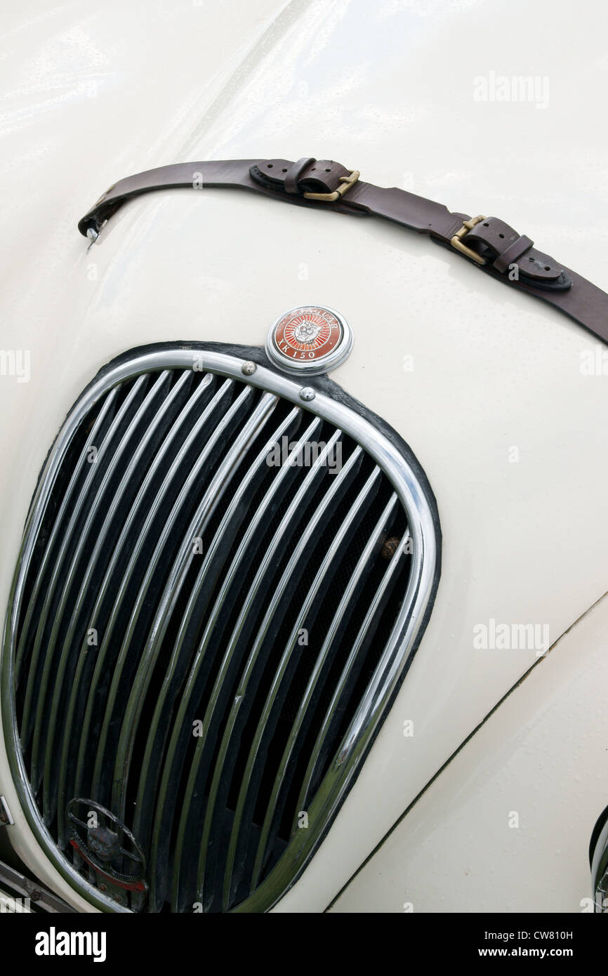 Jaguar XK150 grille de radiateur et de l'ornement Banque D'Images