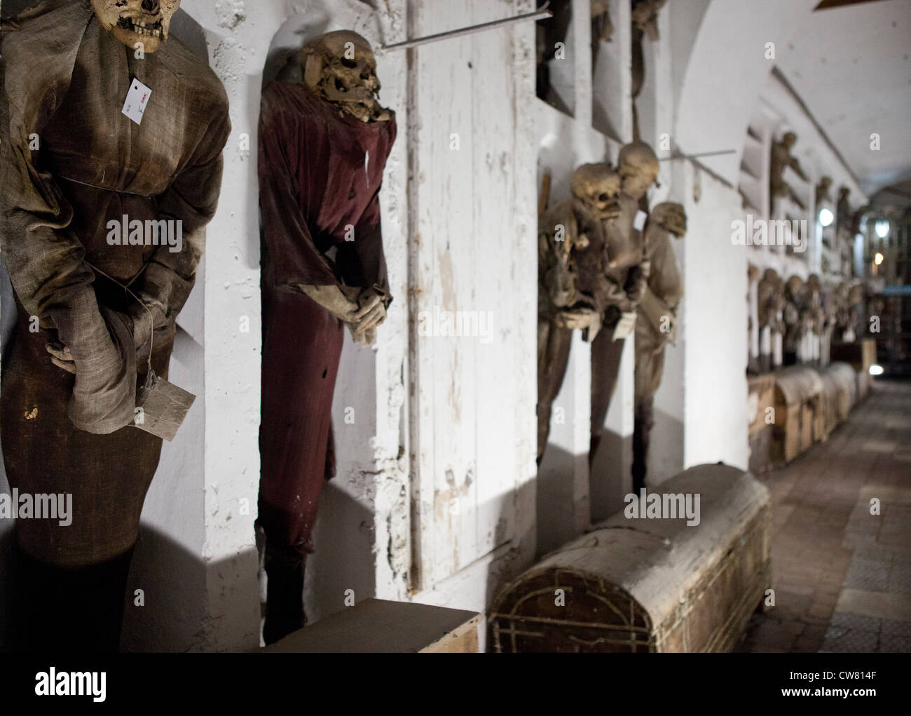 Catacombes dei Cappuccini, Palerme, Italie Banque D'Images