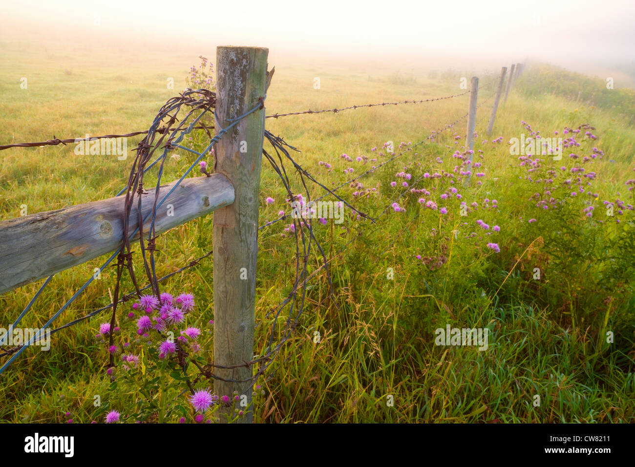 Rolly View Alberta Banque d'image et photos Alamy