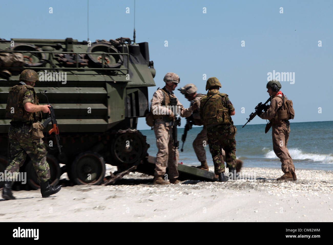 Les Marines américaines avec la Force opérationnelle de coopération en matière de sécurité, la Station de partenariat Afrique 2012 aident les Marines roumaines du 307e Bataillon d'infanterie navale à charger dans un véhicule d'assaut amphibie, lors d'un assaut sur la plage à Capu Midia, Roumanie, le 12 août 2012 l'assaut sur la plage a été 12. Banque D'Images