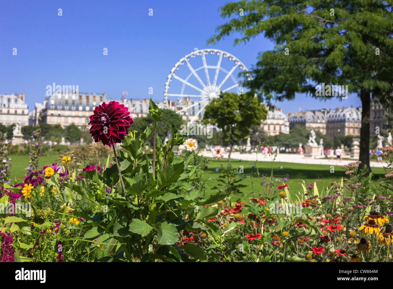 La Grande Roue dans le jardin des Tuileries et le Musée du Louvre Paris, Ile de France, France, Europe, UNION EUROPÉENNE Banque D'Images