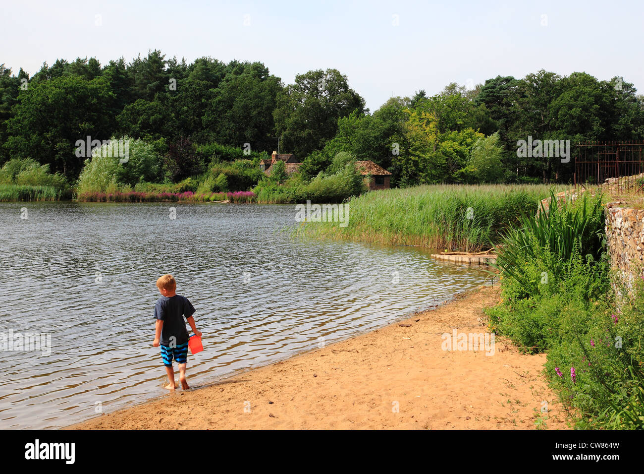 Petit étang, Frensham Common, collines du Surrey, Angleterre Banque D'Images