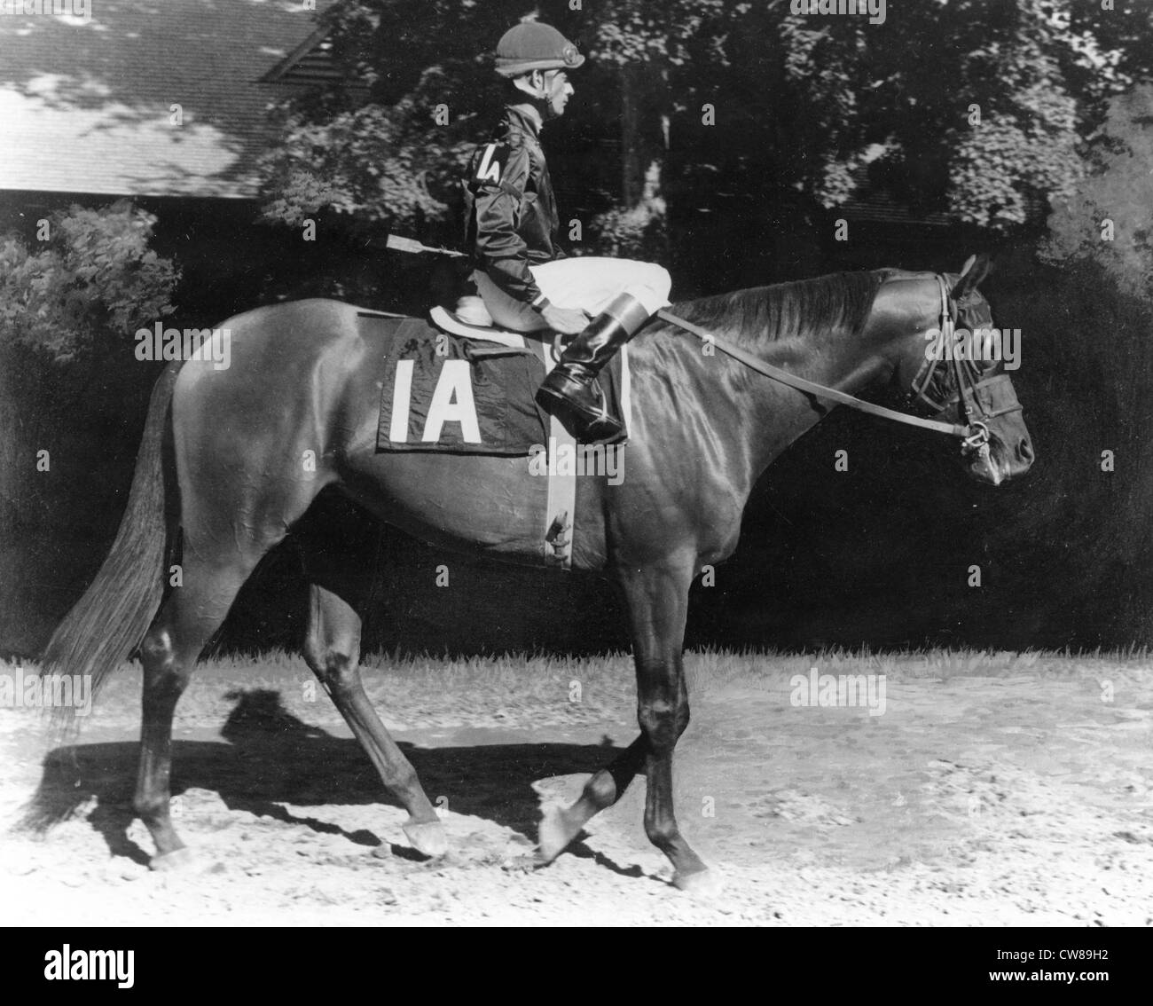 Buchpasser, Hialeah Racetrack, Florida, 1966 Banque D'Images