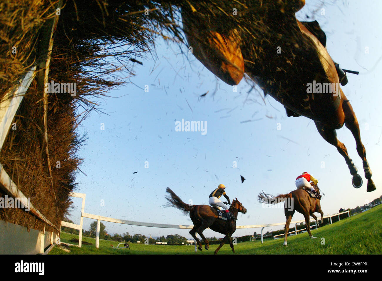 Iffezheim chevaux de course avec jockeys sautez par-dessus l'obstacle Banque D'Images