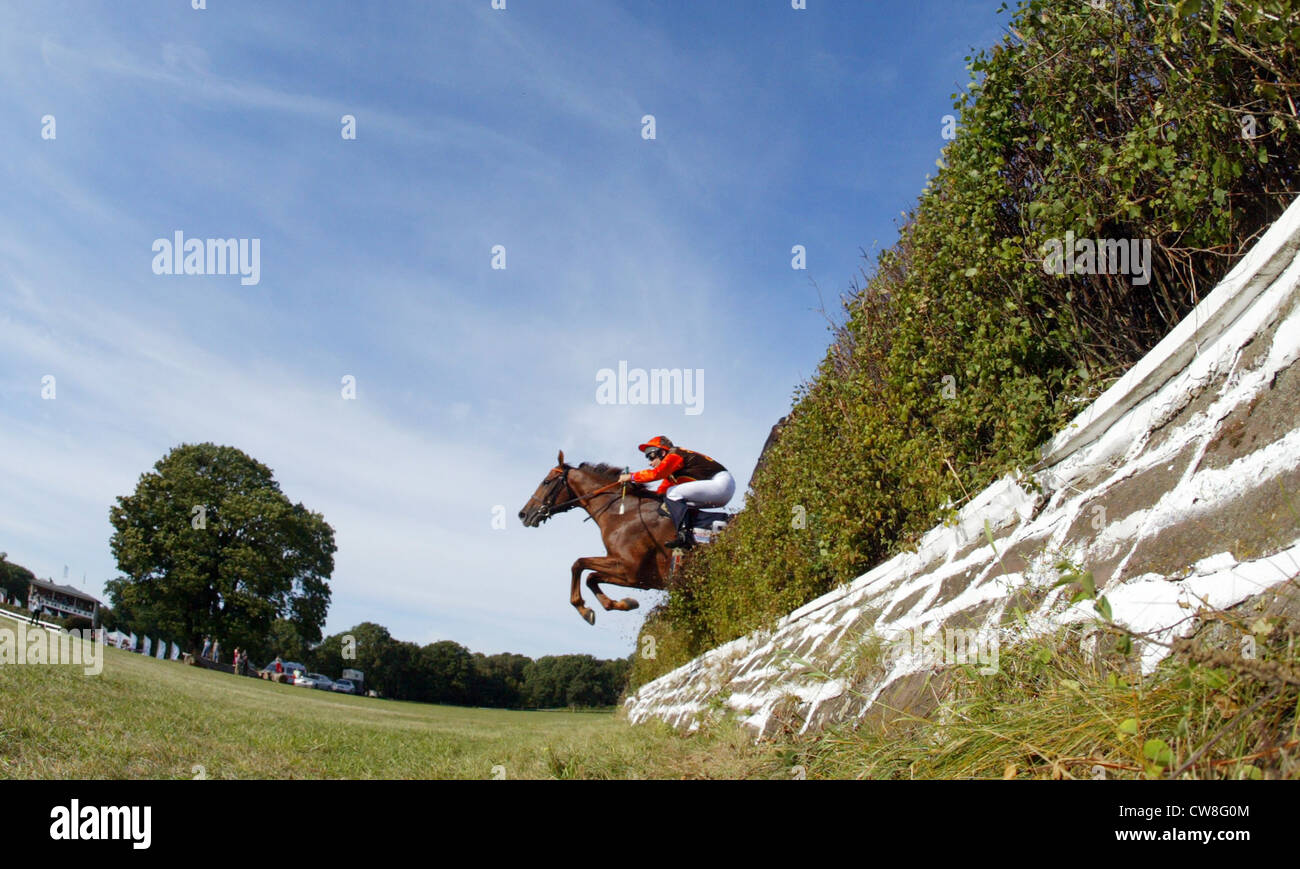 Hoppegarten, un cheval avec jockey sautant au-dessus de l'obstacle Banque D'Images