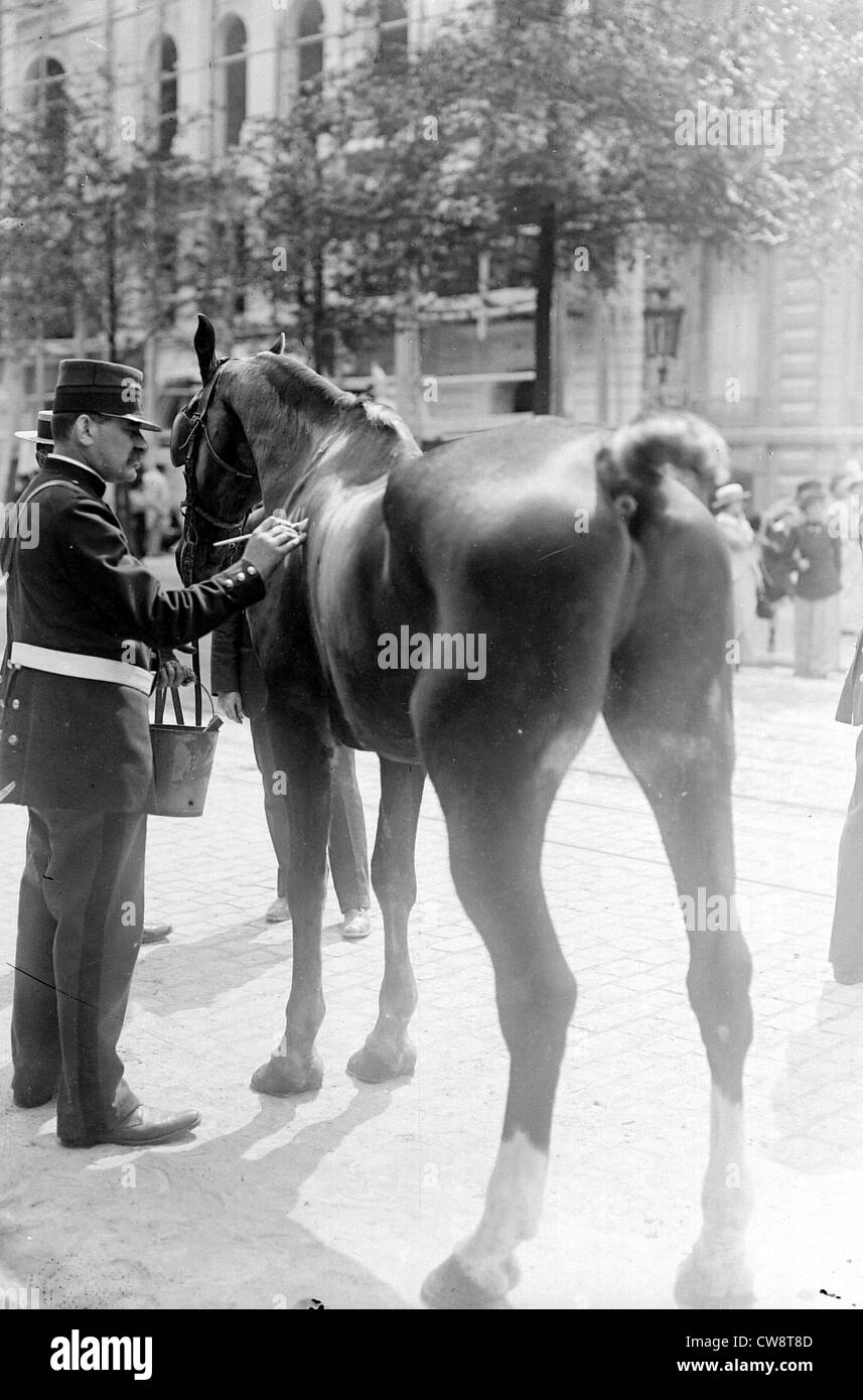 Marquage Paris cheval réquisitionné le 4 août 1914 Banque D'Images