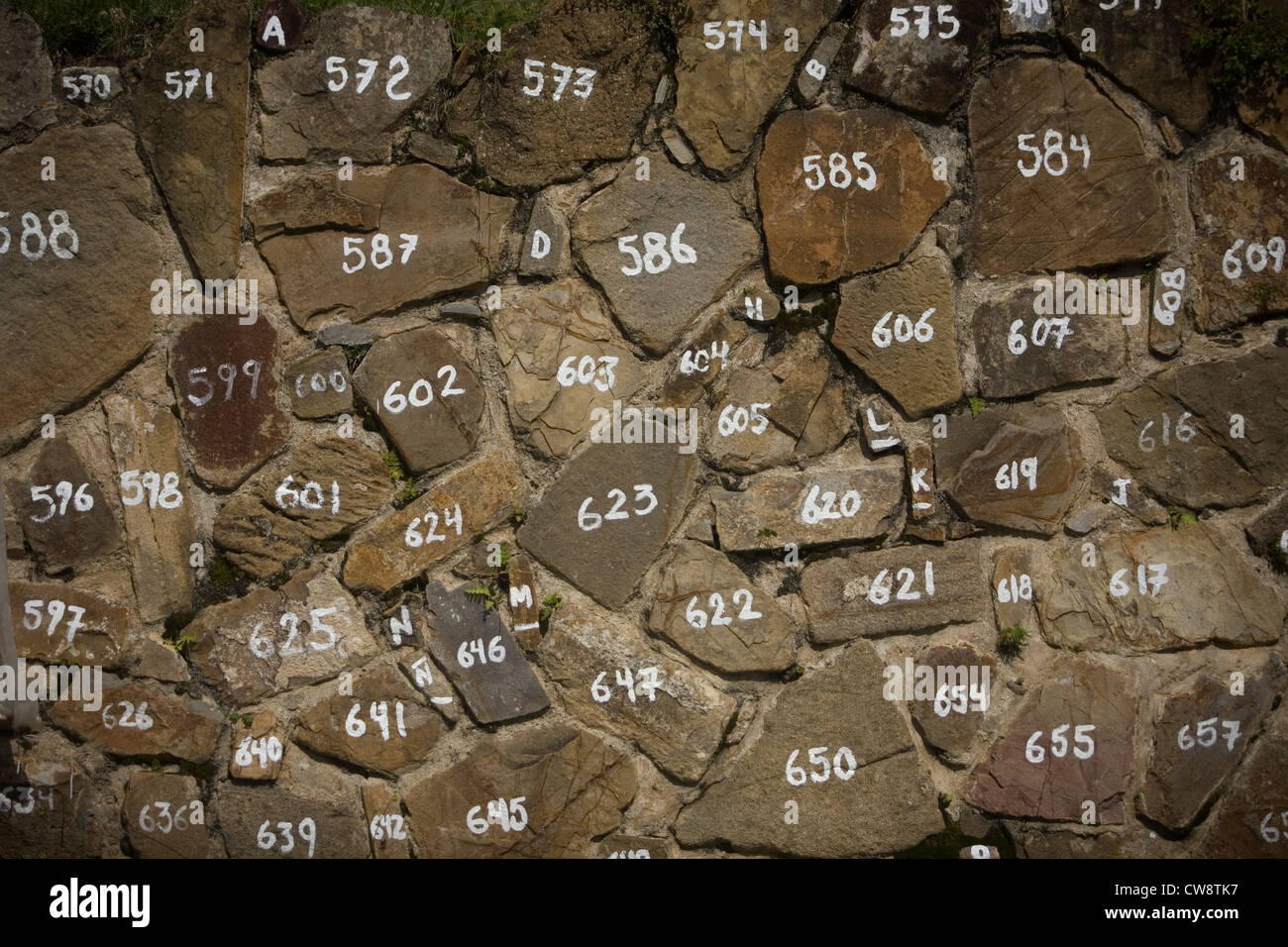 Des pierres numérotées par les archéologues dans la ville zapotèque de Monte Alban, Oaxaca, Mexique, 13 juillet 2012. Banque D'Images