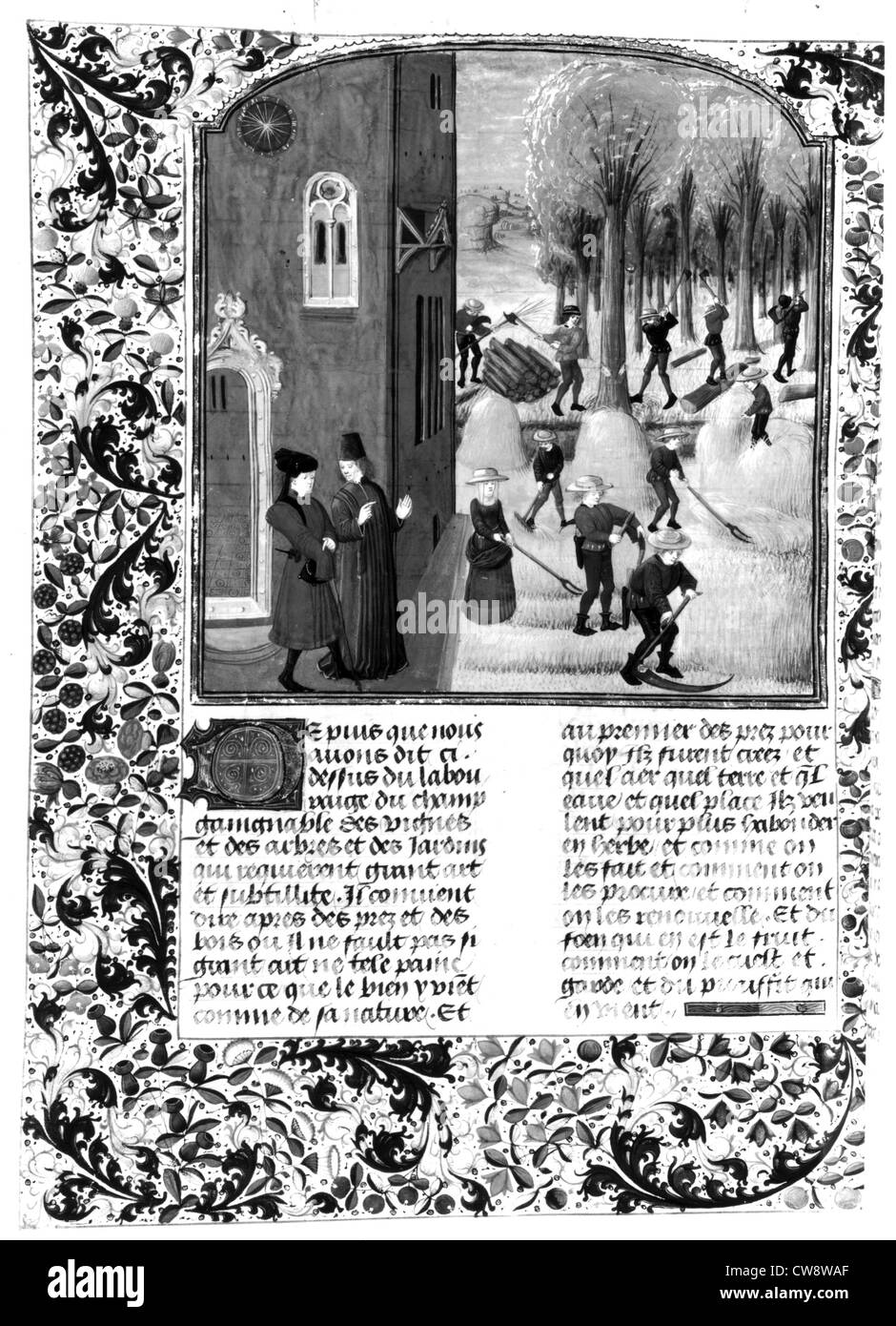 La Fenaison et coupe du bois Banque D'Images