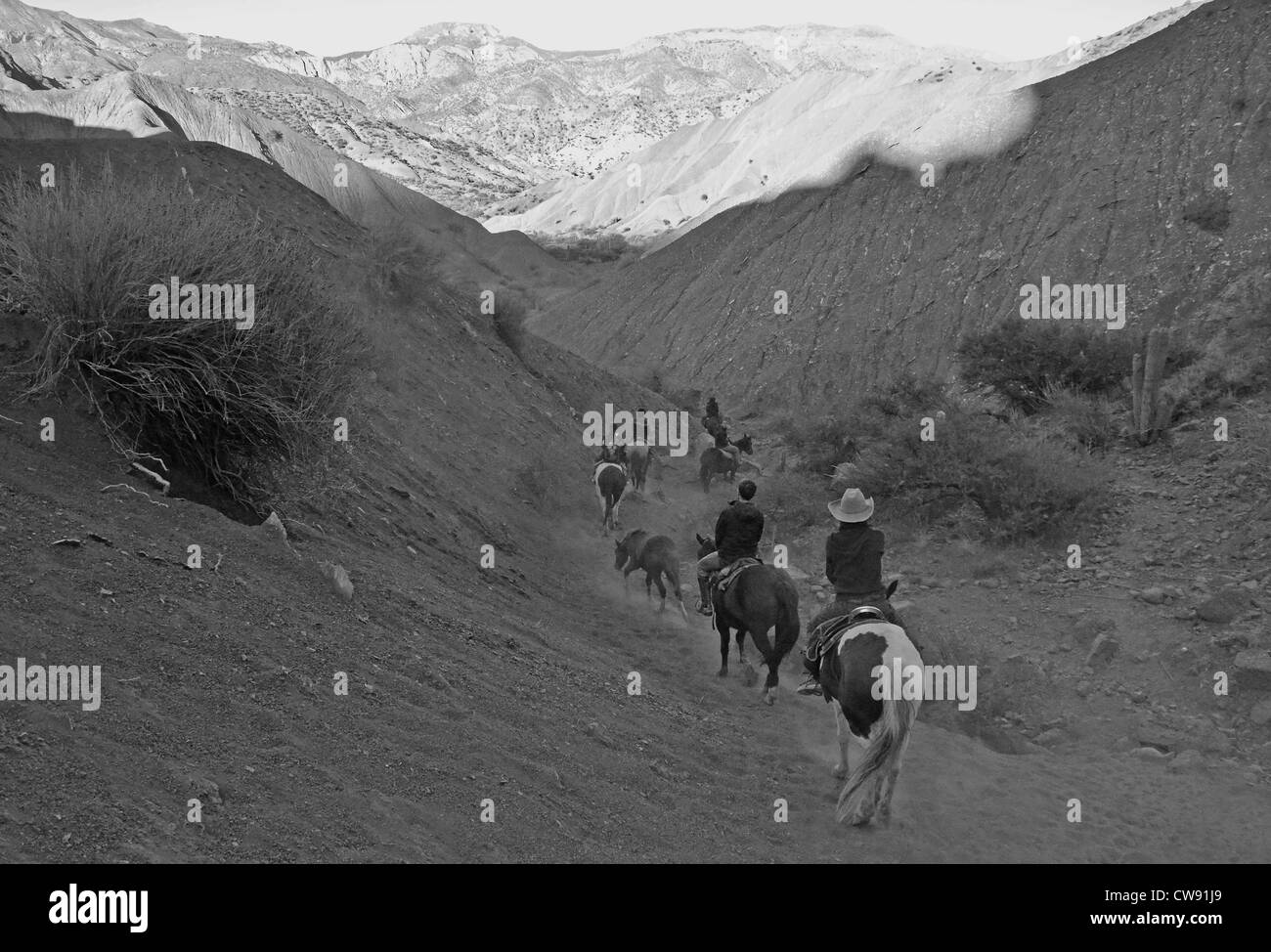 Visiter la haute altitude de l'Altiplano de la Cordillère des Andes, en Bolivie, l'Amérique du Sud. Banque D'Images