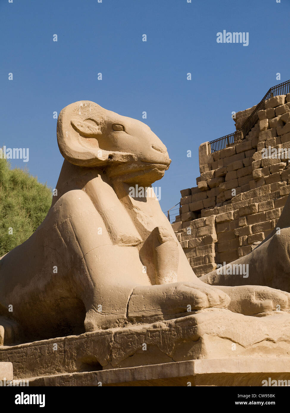 Avenue des béliers à l'ancien Temple de Karnak complexe près de Louxor dans la vallée du Nil en Egypte Banque D'Images