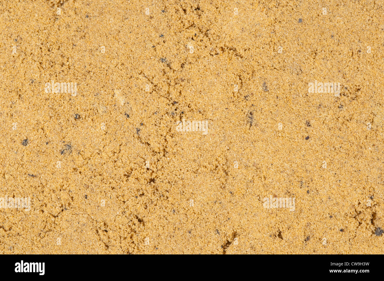 Surface du sable avec des petites fentes close up Banque D'Images