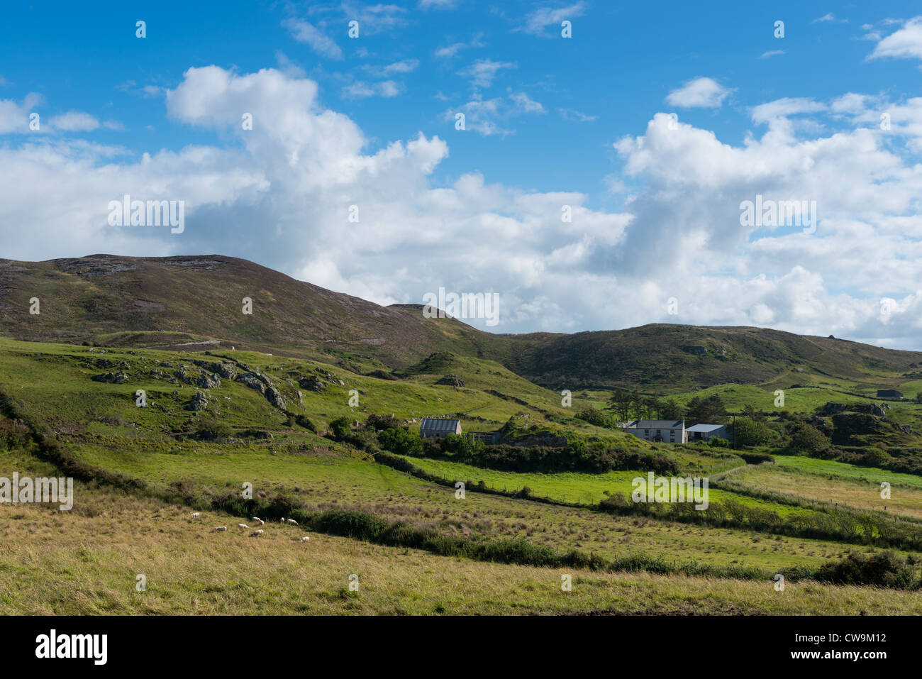 Emerald Isle. Collines près de Fanad head, nord du Donegal, en République d'Irlande. Banque D'Images