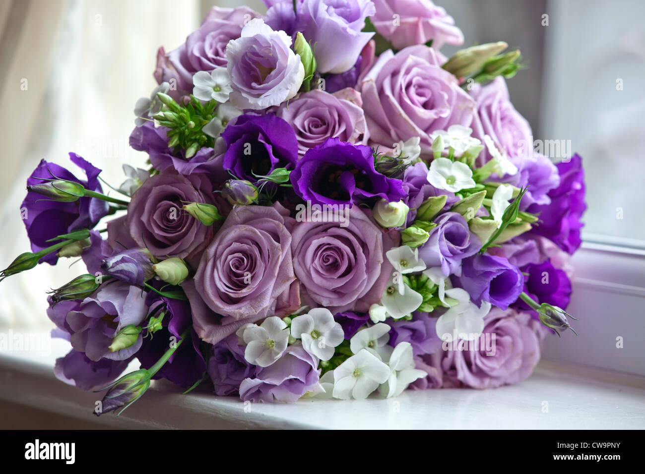 Une étude détaillée d'un bouquet de fleurs à la lumière naturelle Banque D'Images