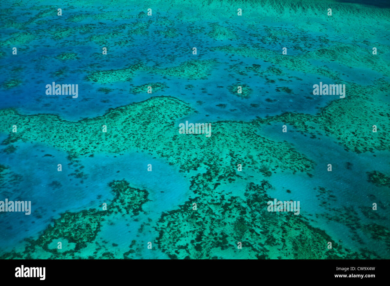 Vue aérienne d'Upolu Cay et de récifs coralliens et de palourdes à la grande barrière de corail mer de corail au large de la côte du Queensland en Australie Banque D'Images