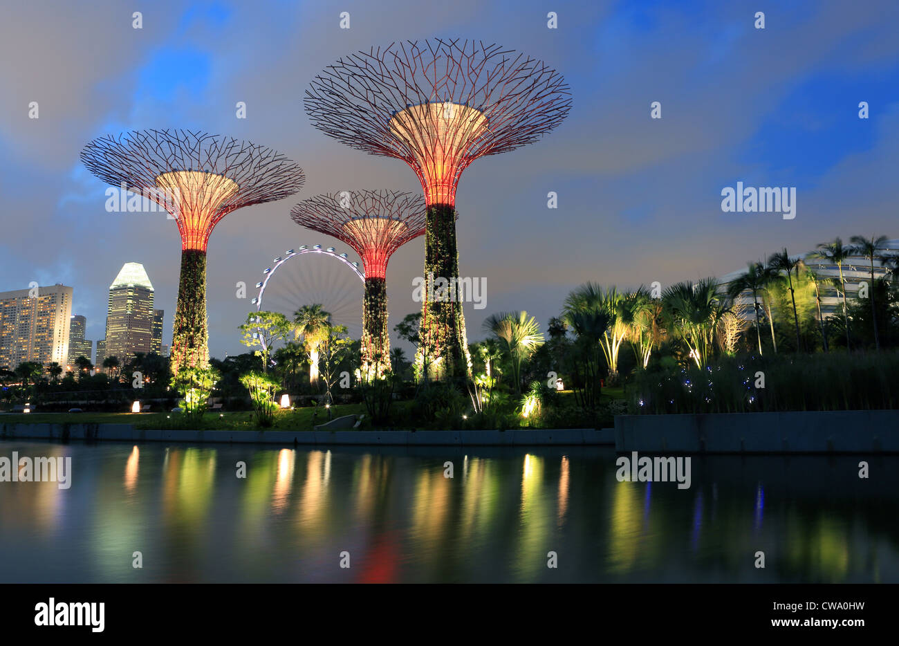 Jardins à Supertrees par la baie de Singapour. Banque D'Images