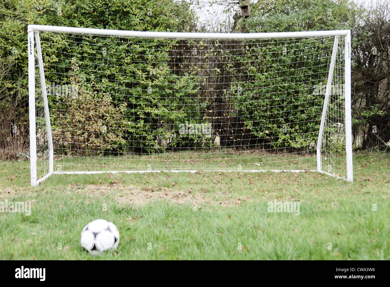 C'est une photo d'un but de football dans un parc au petit champ d'herbes sauvages. Nous voyons une boule et couverture, le montant, net Banque D'Images