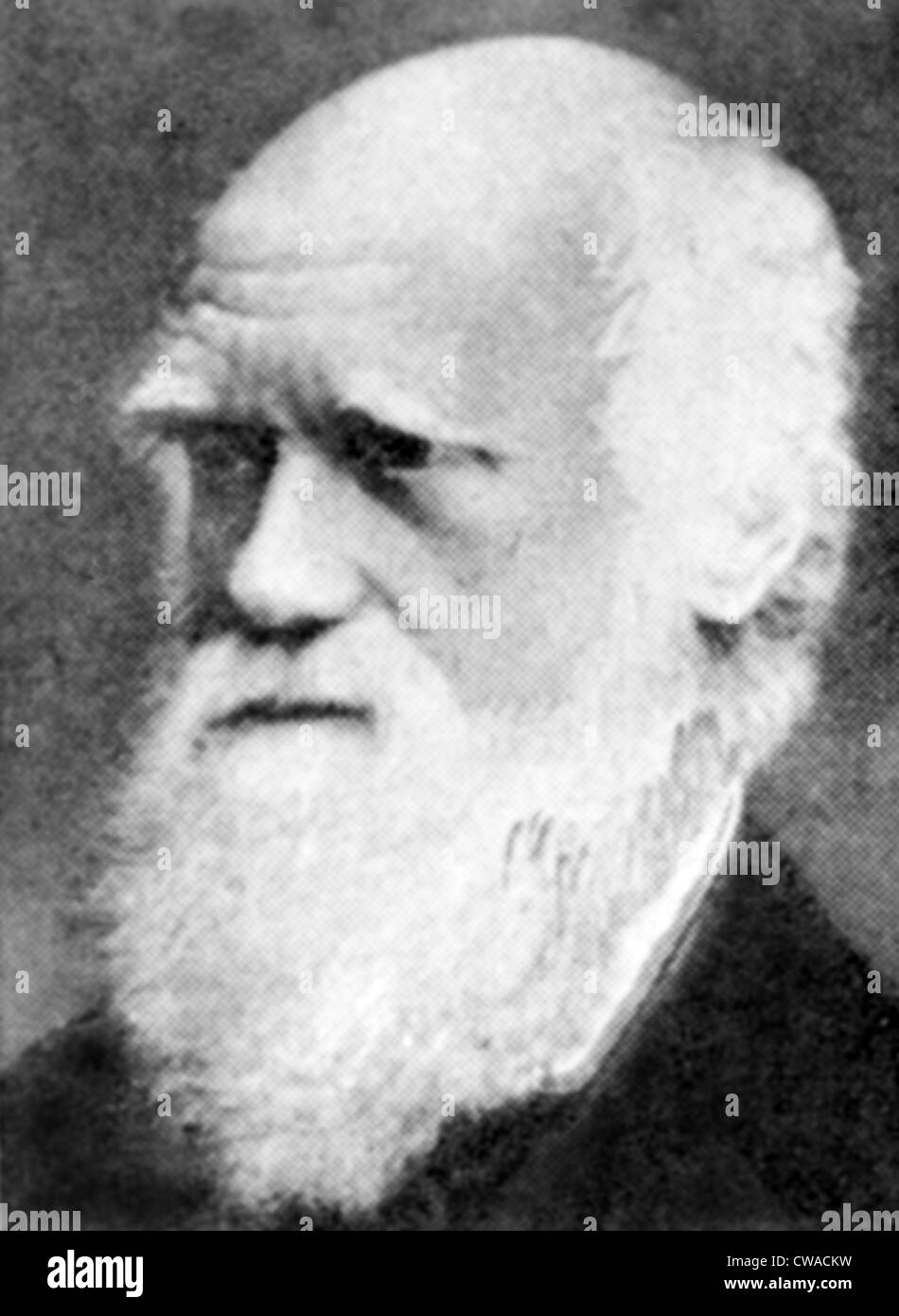 Charles Darwin (1809-1882), circa 1870 des années 80. Avec la permission de : Archives CSU/Everett Collection. Banque D'Images