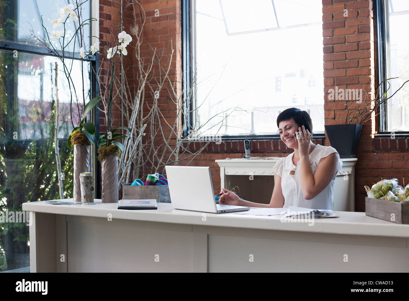 Businesswoman at desk sur le téléphone Banque D'Images