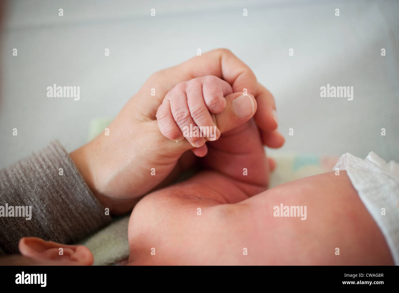 Mother holding newborn baby's hand Banque D'Images