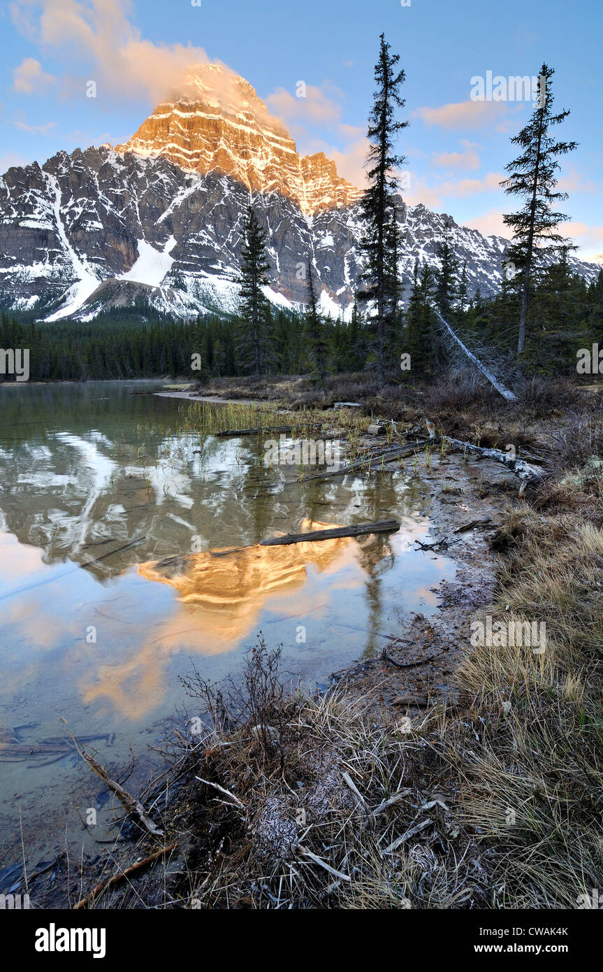 Le Lac de la sauvagine inférieur et le Mont Chephren, Banff National Park, Alberta, Canada Banque D'Images