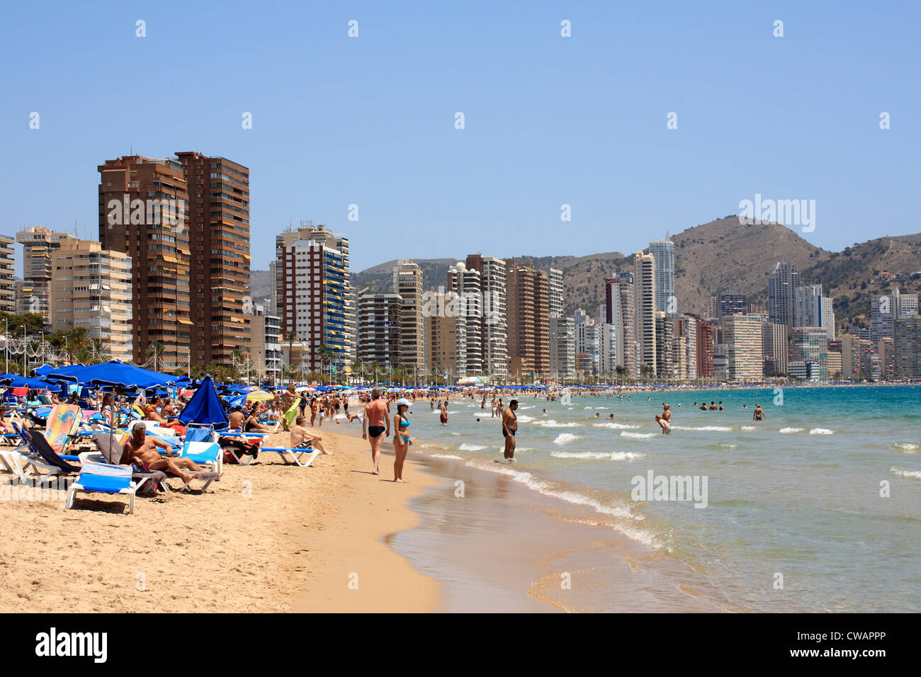 La plage de Levante Benidorm Costa Blanca Espagne Espana UE Union Européenne Europe Banque D'Images