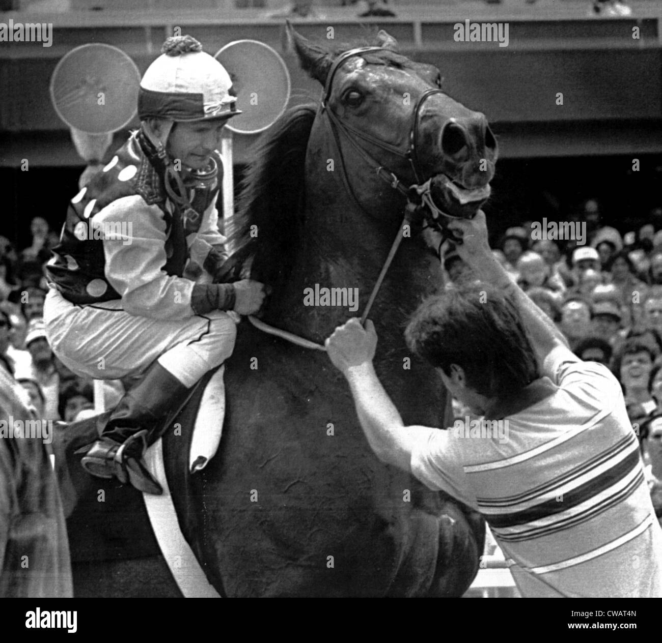 Willie Shoemaker les plans tremblotants sa monture, la guerre, alliées au Hollywood Park,-Inglewood, Californie) 5/28/1981. Avec la permission des Archives / CSU : Banque D'Images