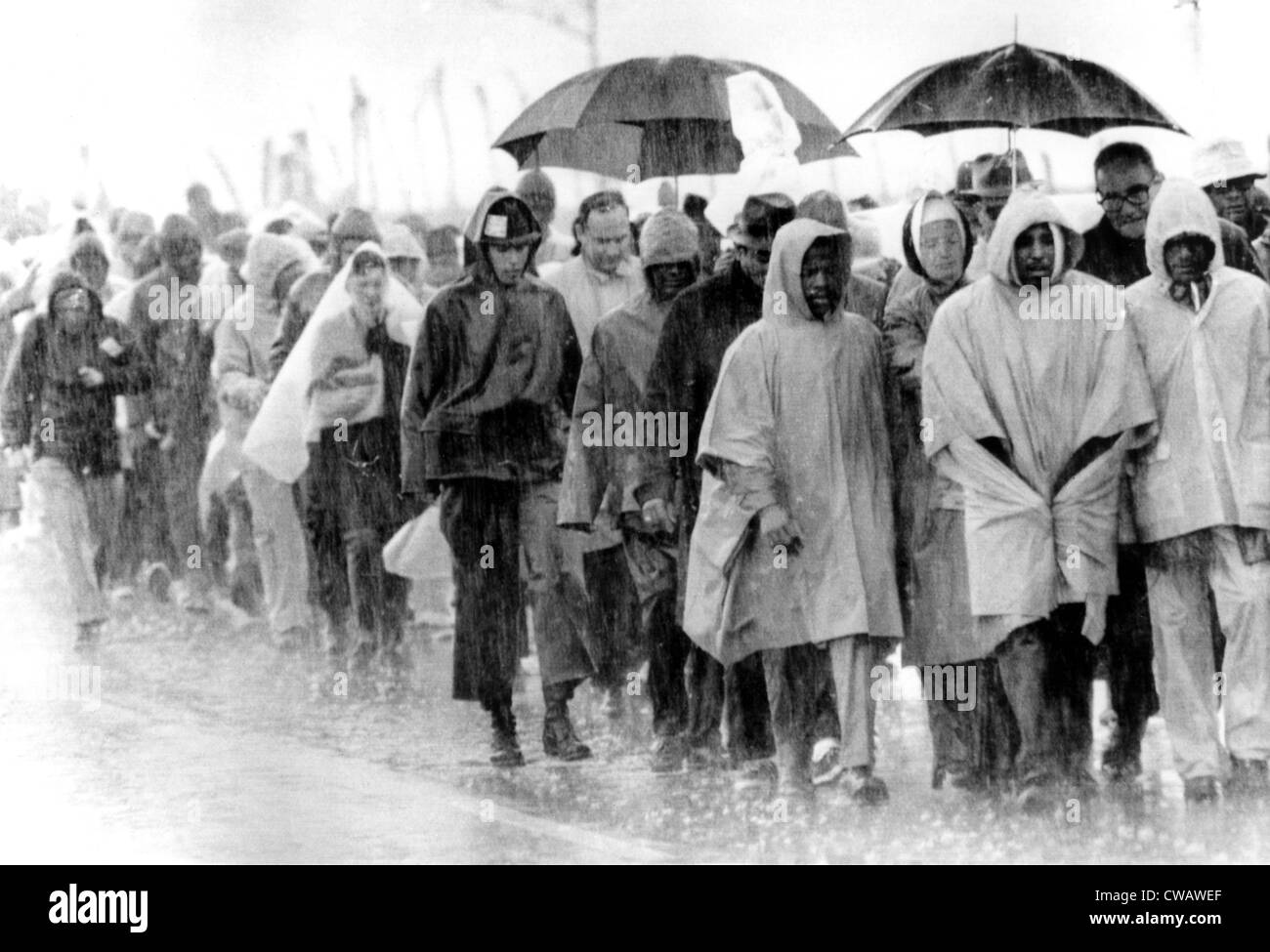 Les marcheurs de la liberté sur le troisième jour de Selma à Montgomery Montgomery, Alabama, mars, 03-25-1965.. Avec la permission de la CSU : Archives / Everett Banque D'Images