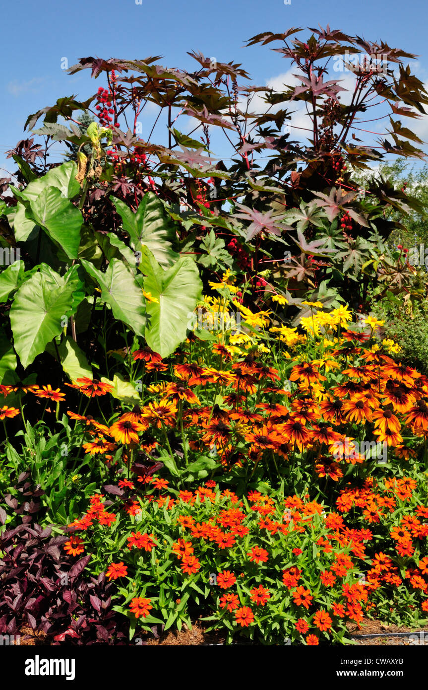 Affichage Floral au Berkshire Botanical Garden, Stockbridge, Massachusetts Banque D'Images