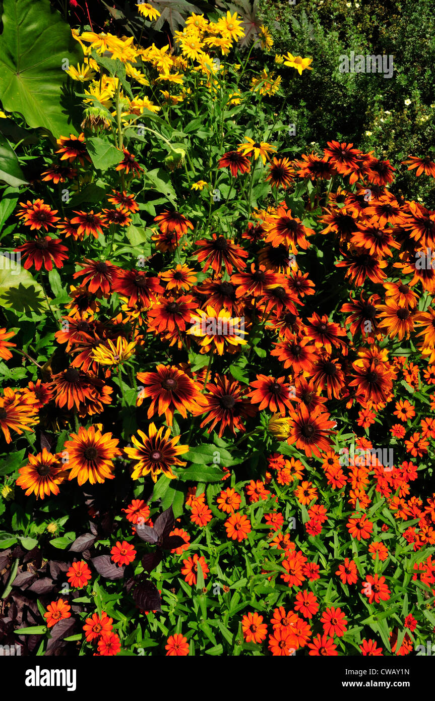 Affichage Floral au Berkshire Botanical Garden, Stockbridge, Massachusetts Banque D'Images