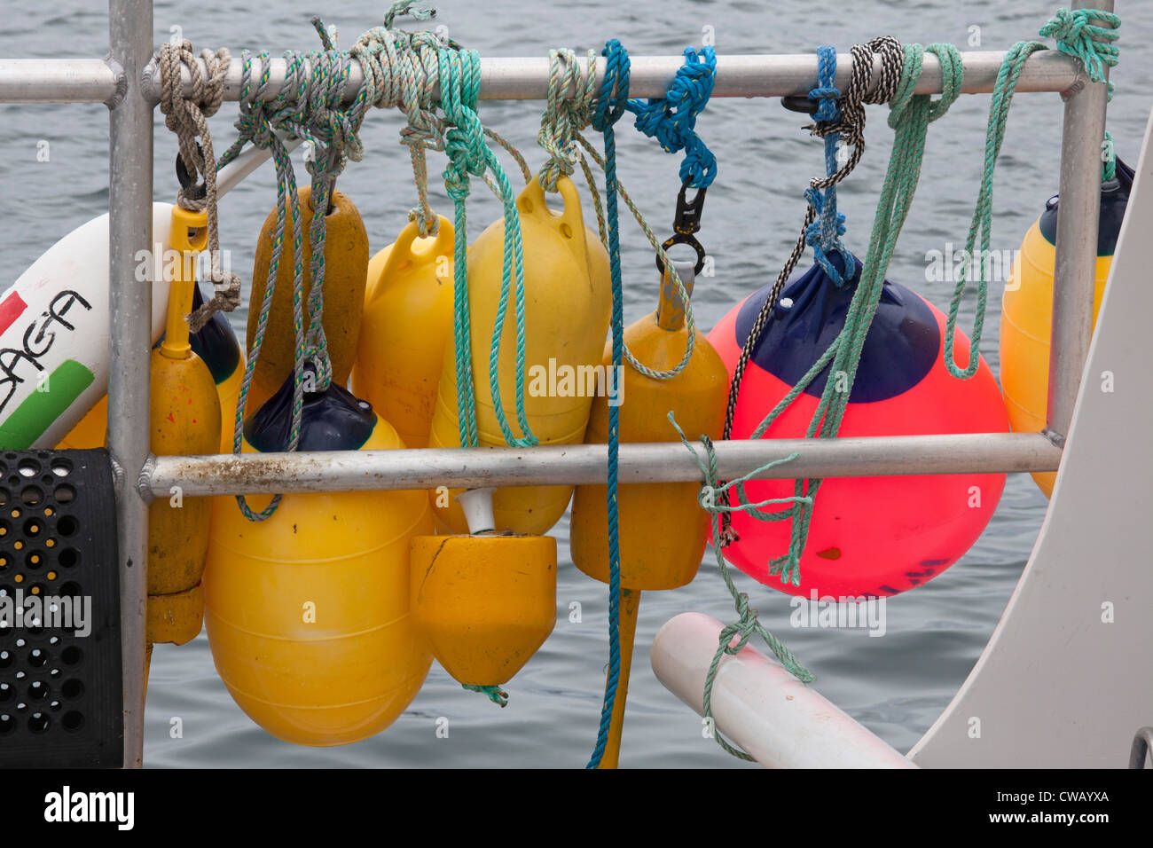 Chatham, Massachusetts - bateau de pêche pare-chocs et flotte sur un bateau dans le port de Chatham. Banque D'Images