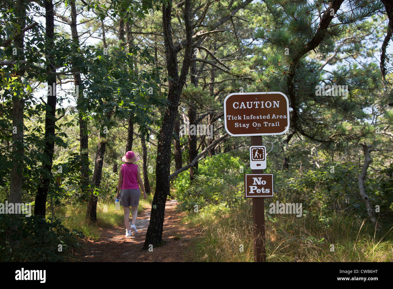 Wellfleet, Massachusetts - un signe met en garde contre les tiques sur l'Atlantique White Cedar Swamp sentier de randonnée à Cape Cod National Seashore. Banque D'Images