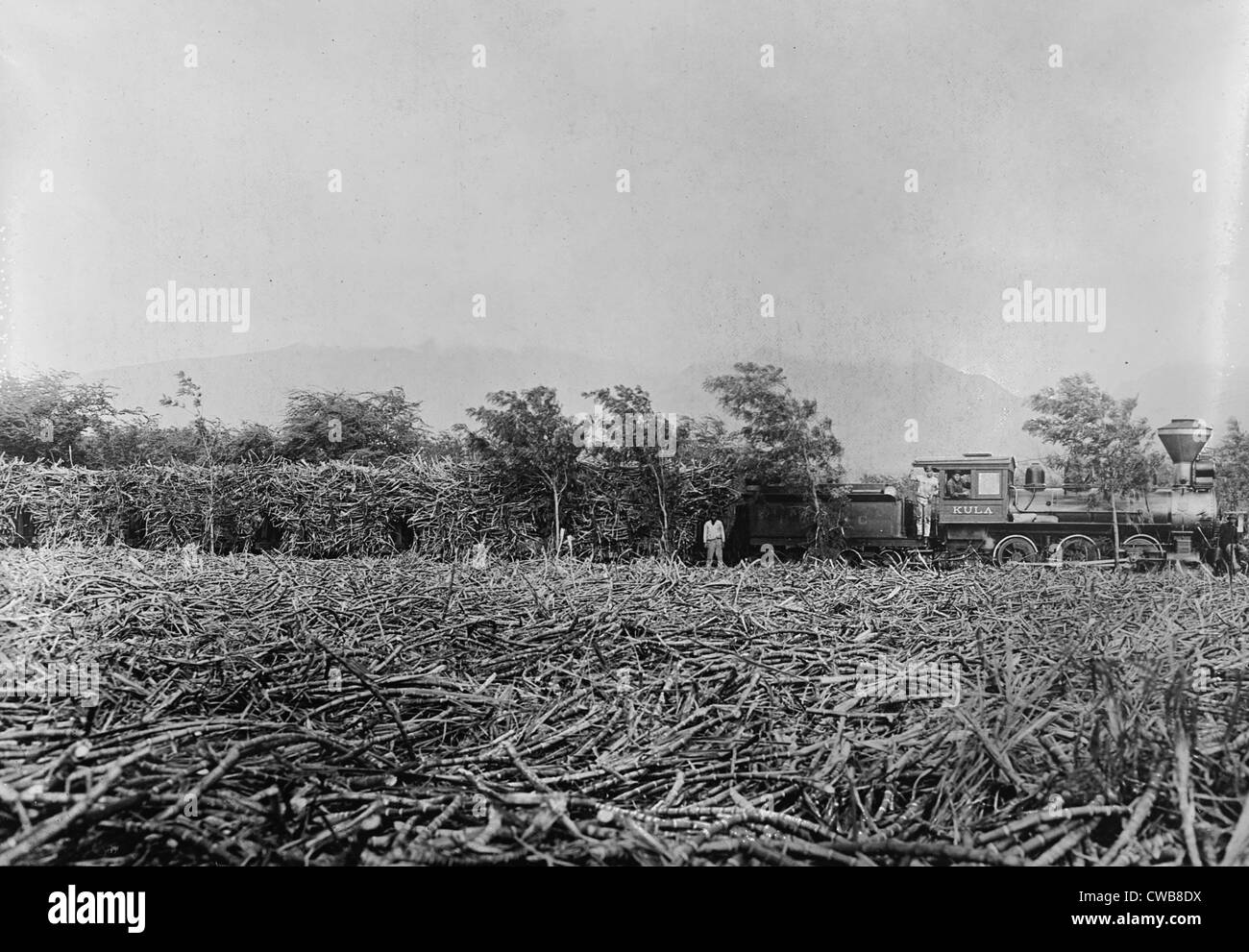 Hawaii. Un champ de canne à sucre récoltée sur une plantation. Un train de la canne à sucre dans l'arrière-plan. Les îles hawaïennes, Banque D'Images