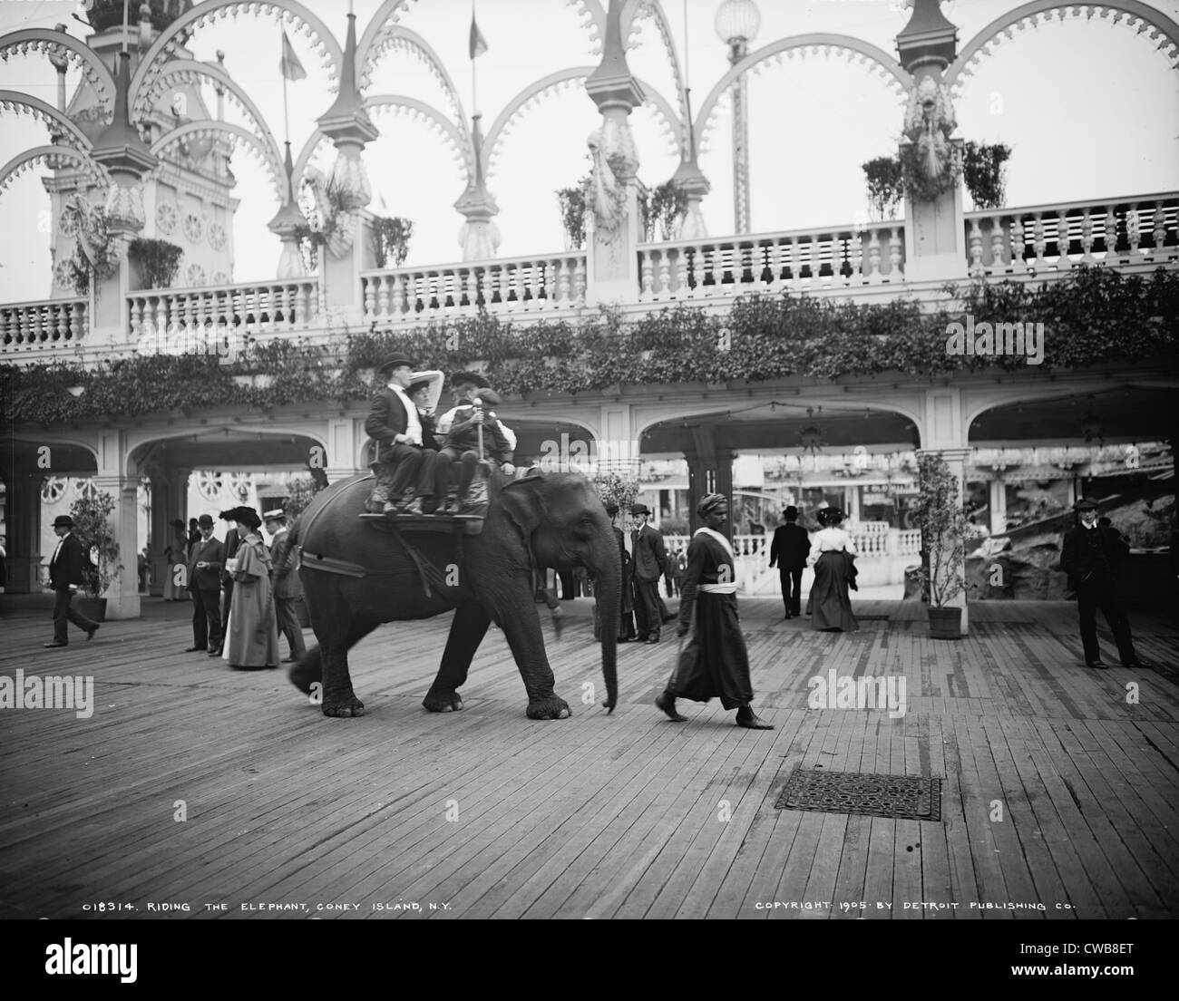 Équitation un éléphant à Coney Island, New York, 1905 Banque D'Images