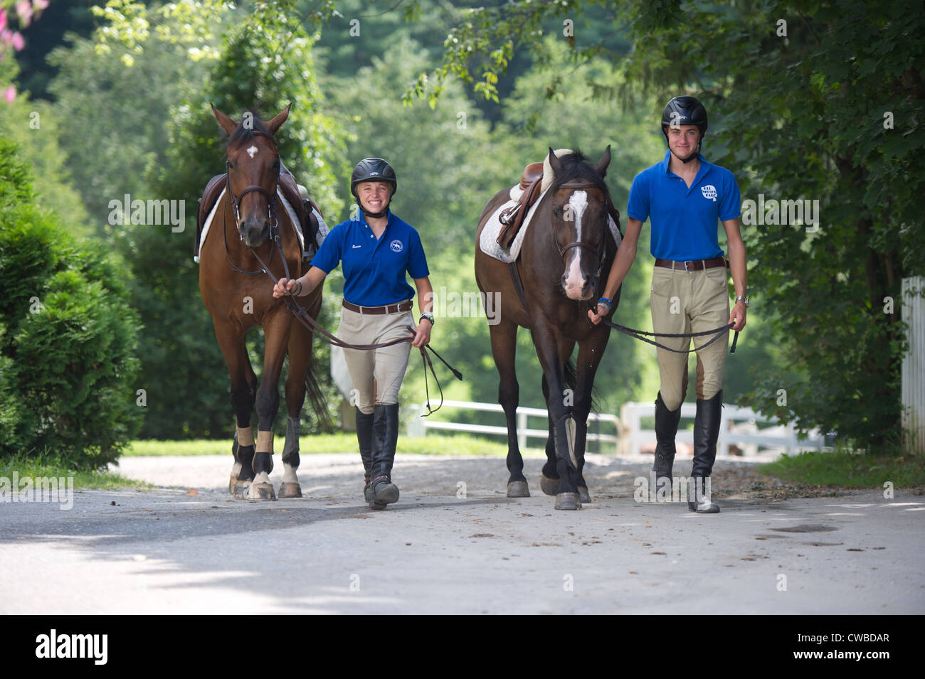 L'équitation au casino Banque D'Images