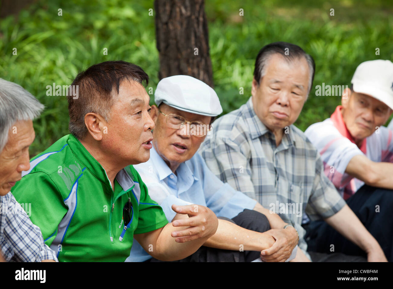 Un coréen raconte une histoire à d'autres hommes dans un parc à Séoul, Corée. Banque D'Images