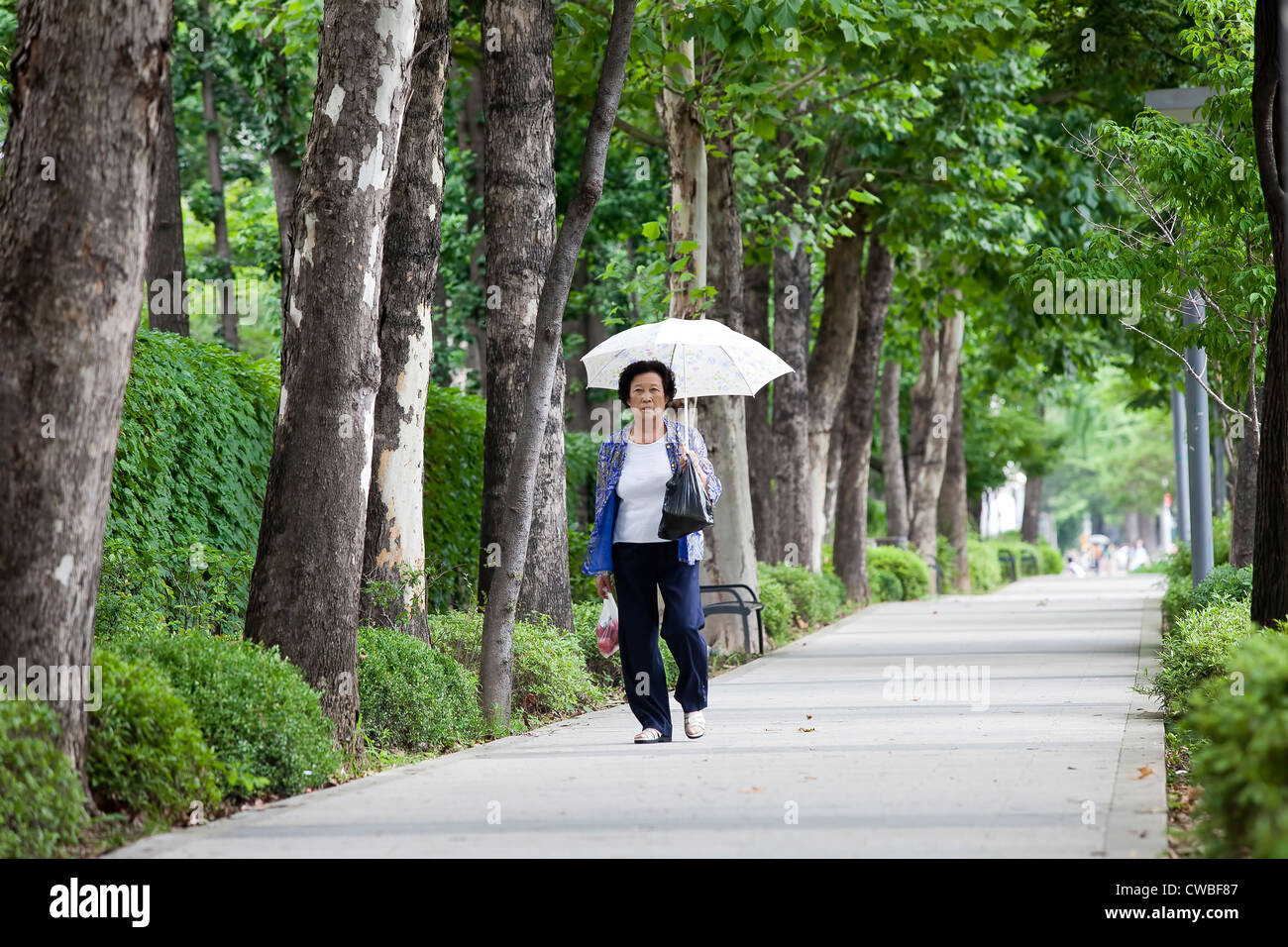 Une femme coréenne promenades avec un parapluie sur une journée ensoleillée à Séoul, Corée. Banque D'Images