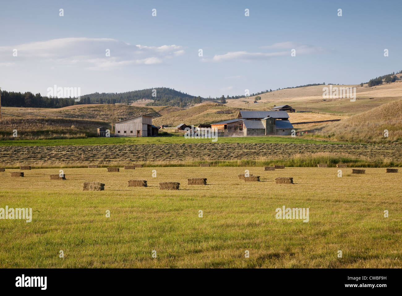 Ferme le long de l'autoroute du nord des Cascades - Okanogan County, Washington, USA Banque D'Images