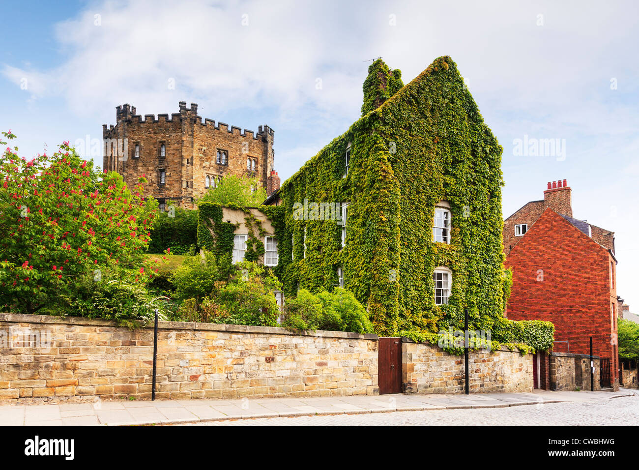 Une maison presque entièrement couverte de vigne vierge dans la cathédrale de Durham, à proximité du château de Durham et conserver. Banque D'Images