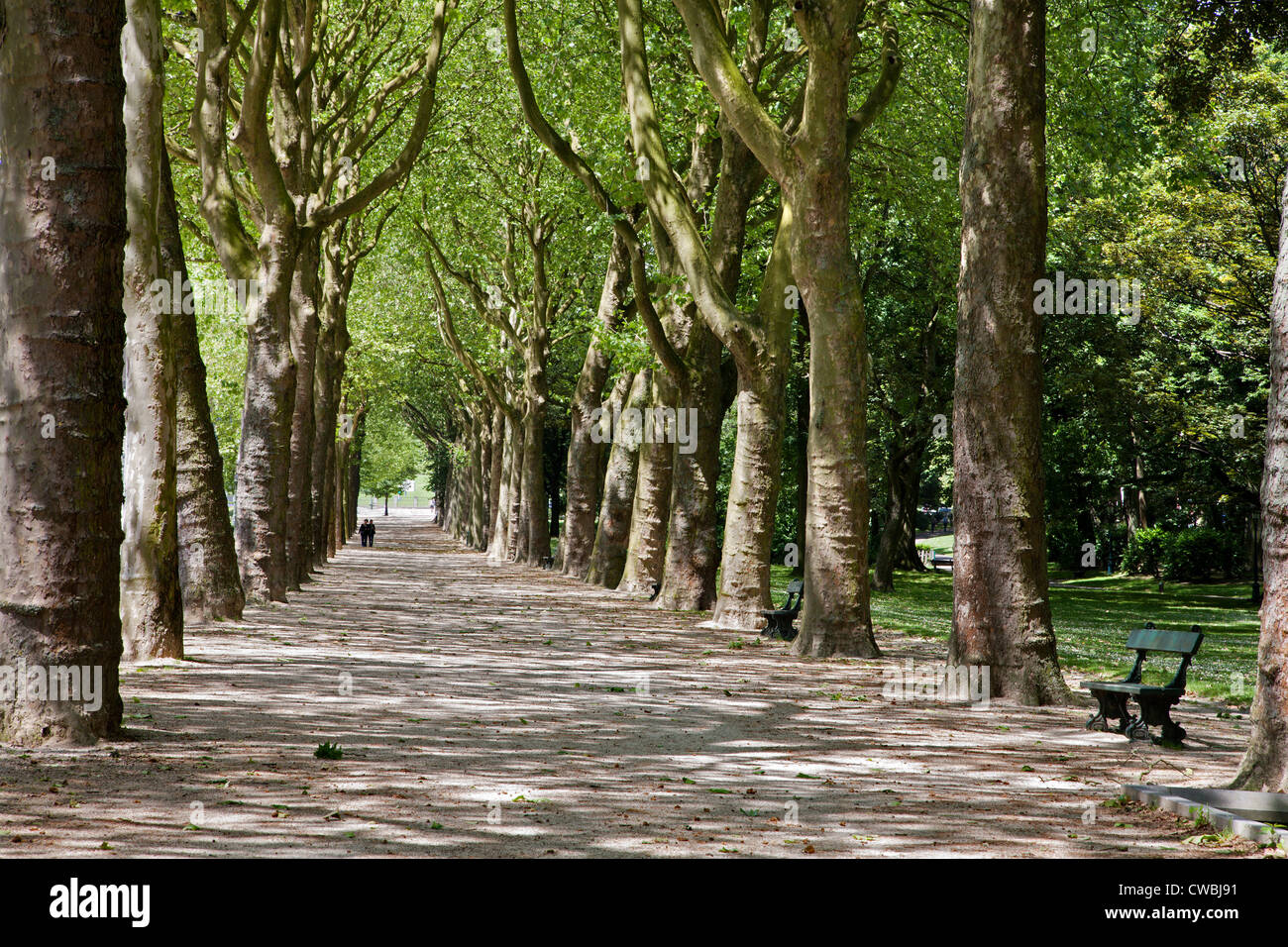 Bruxelles - ruelle dans park pour la basilique Banque D'Images